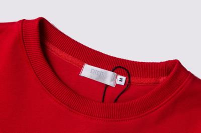 wholesale quality dior hoodies model no. 13