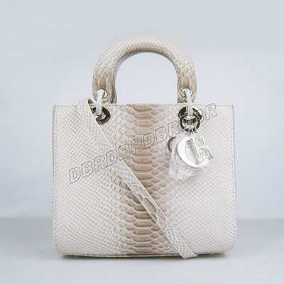 Christian Dior Handbag-1887huibaisw_246